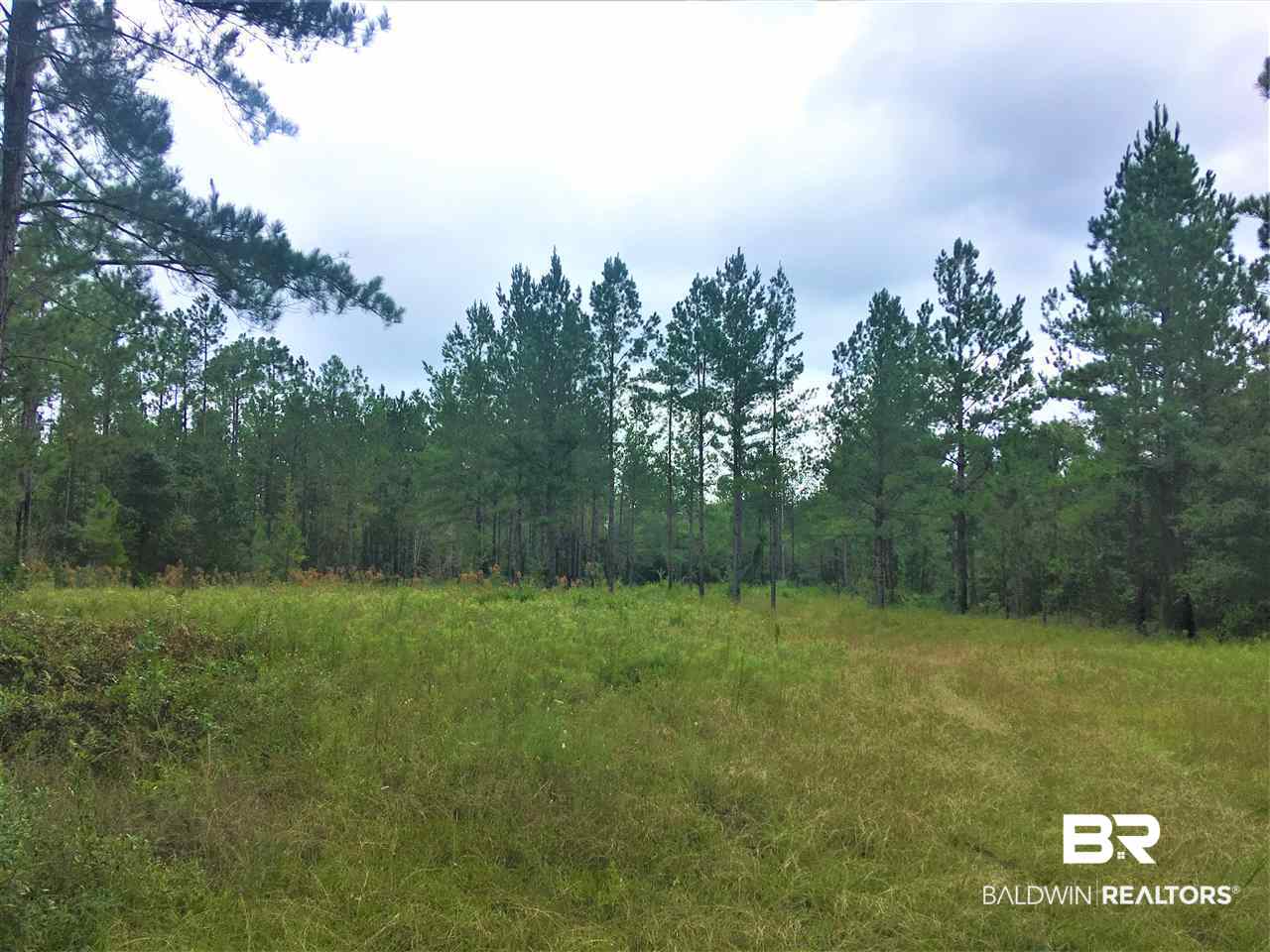0 Dyas Road Perdido, AL 36562 - Photo 3 of 7 Gallery Image 3