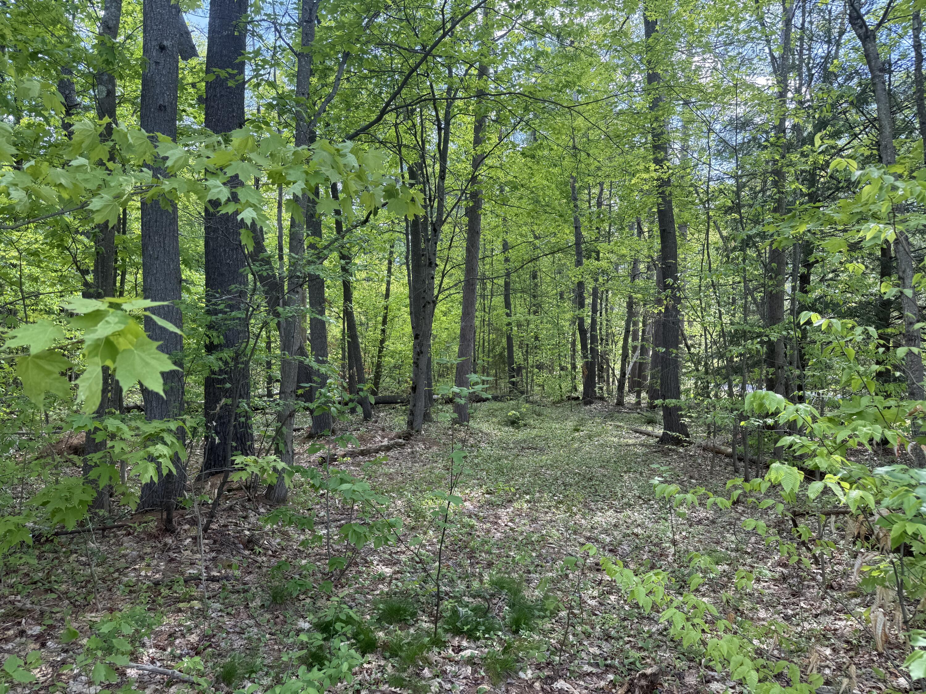 190 Barker Road Bethel, ME 04217 - Photo 4 of 11 IMG_3902