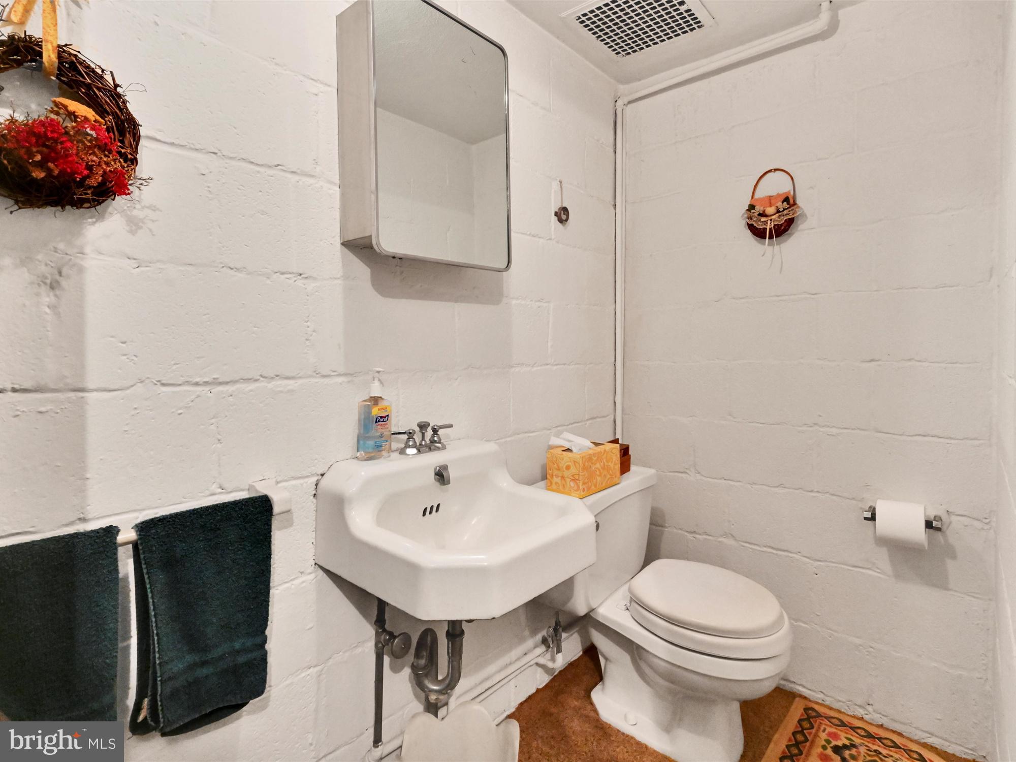 13 Conestoga Road Lancaster, PA 17602 - Photo 13 of 38 Finished Basement