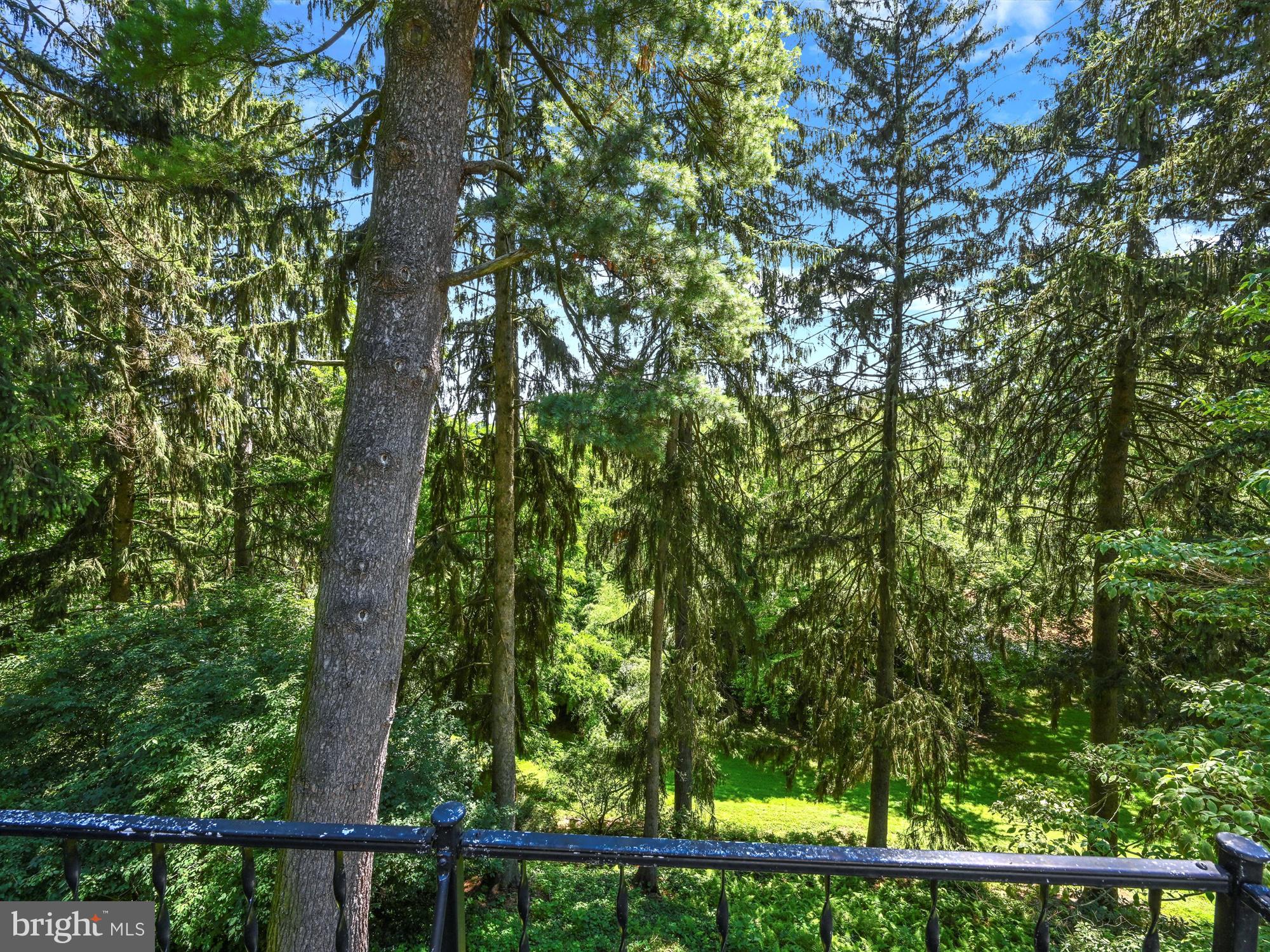 13 Conestoga Road Lancaster, PA 17602 - Photo 36 of 38 Master Balcony