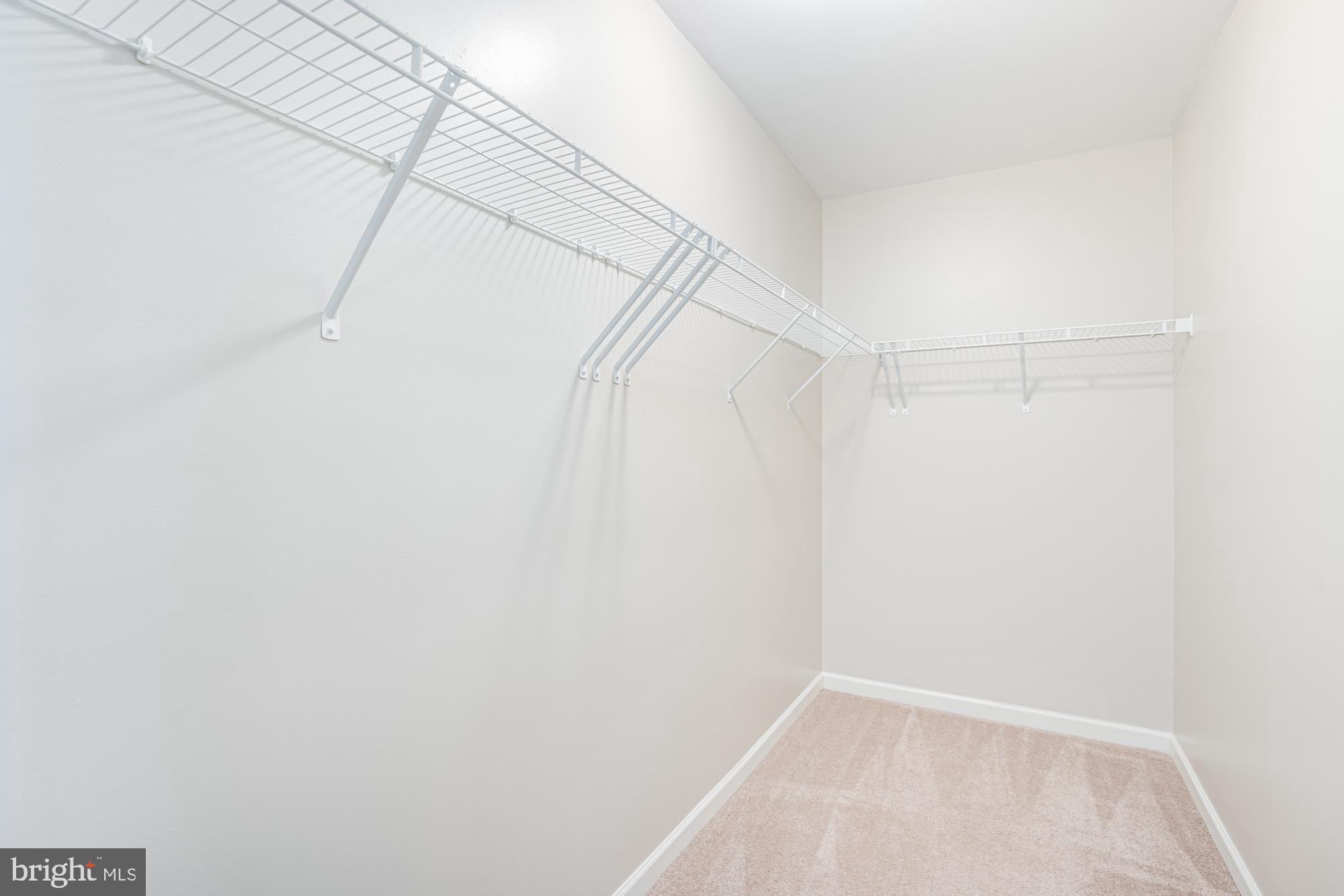 106 Splendor Garden Way Stephenson, VA 22656 - Photo 25 of 31 Spacious, versatile closet ready for organization.