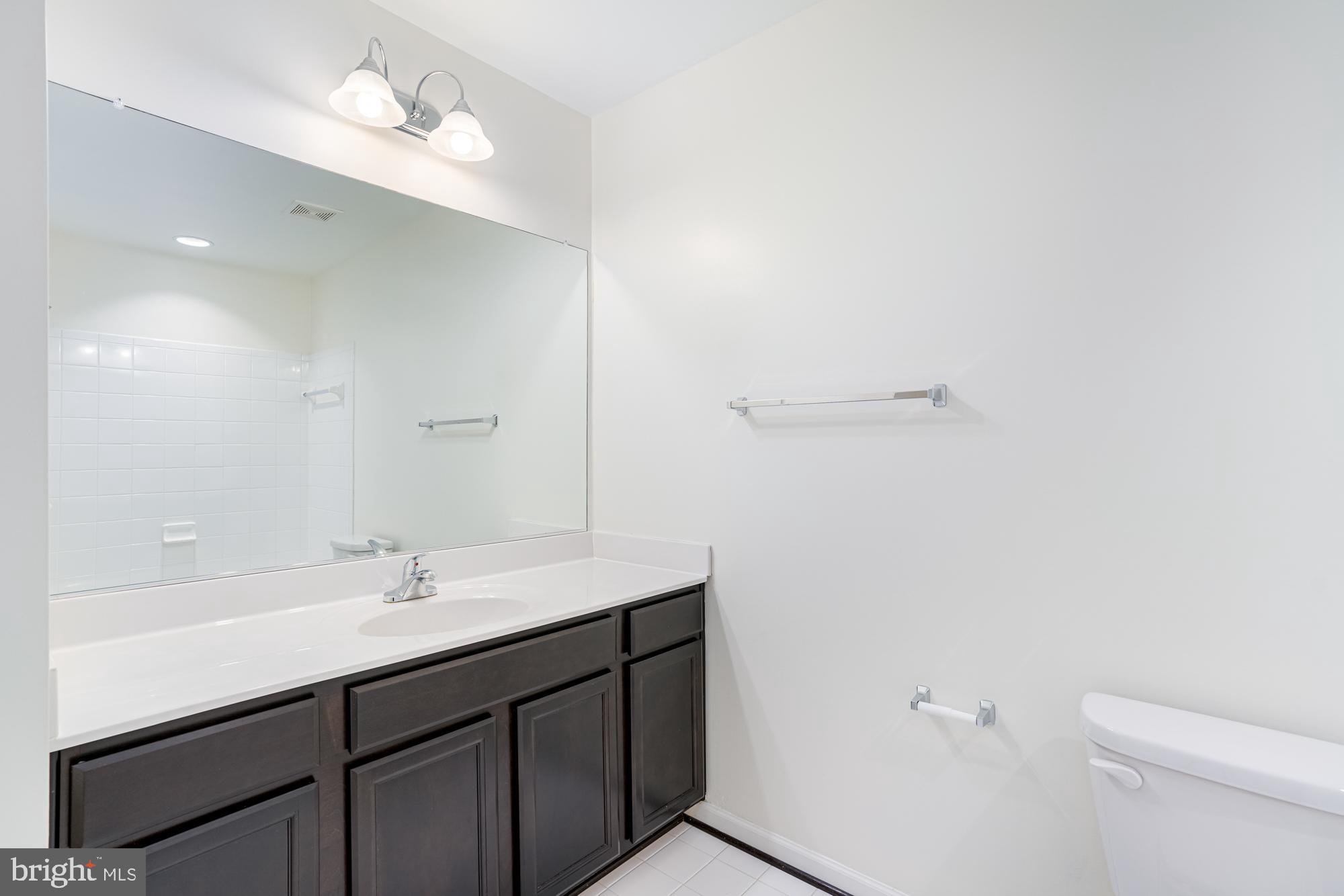 106 Splendor Garden Way Stephenson, VA 22656 - Photo 7 of 31 Sleek modern bathroom with elegant finishes.