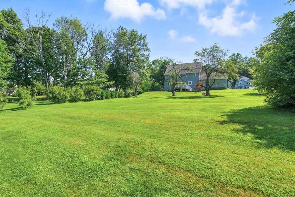 30 Neponset Street Walpole, MA 02071 - Photo 7 of 41 a big yard with lots of green space and plants in the back