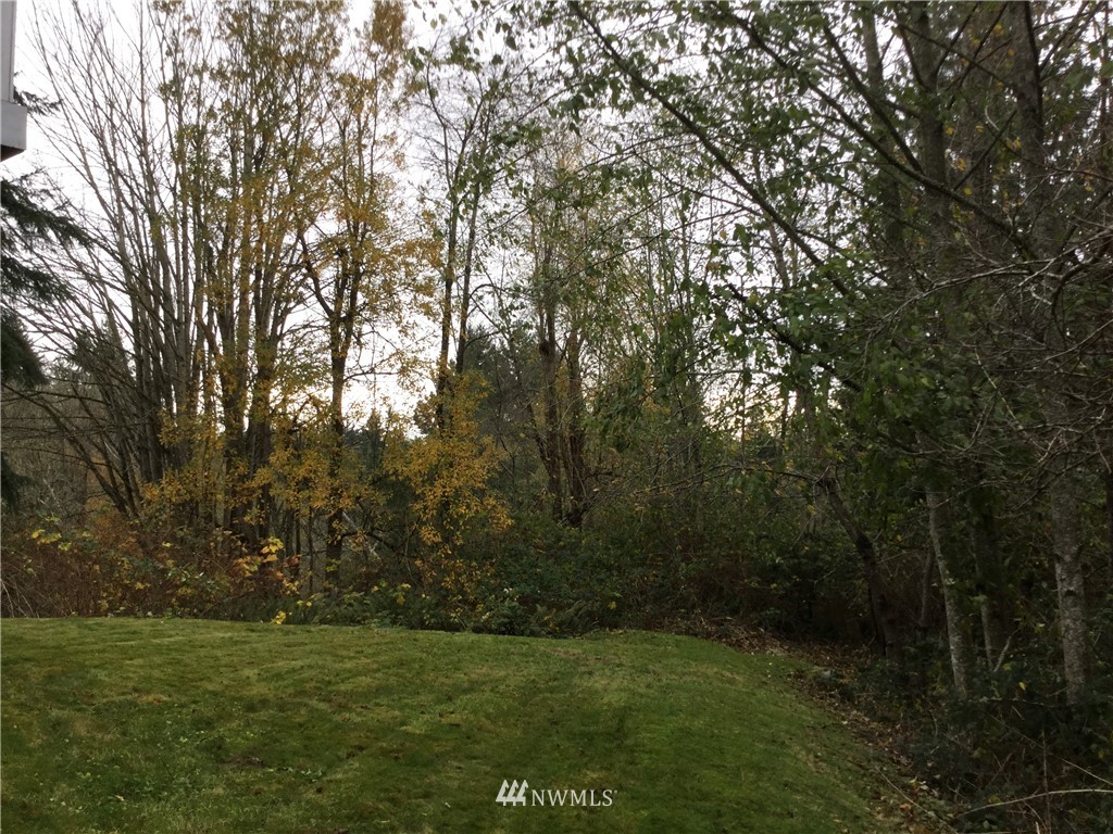 4606 Wood Place Everett, WA 98203 - Photo 30 of 37 a view of a field with trees in the background