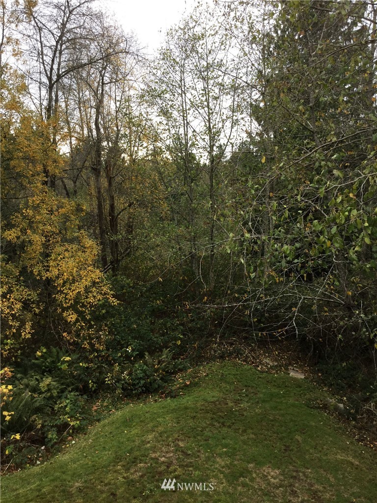4606 Wood Place Everett, WA 98203 - Photo 34 of 37 a view of outdoor space and yard