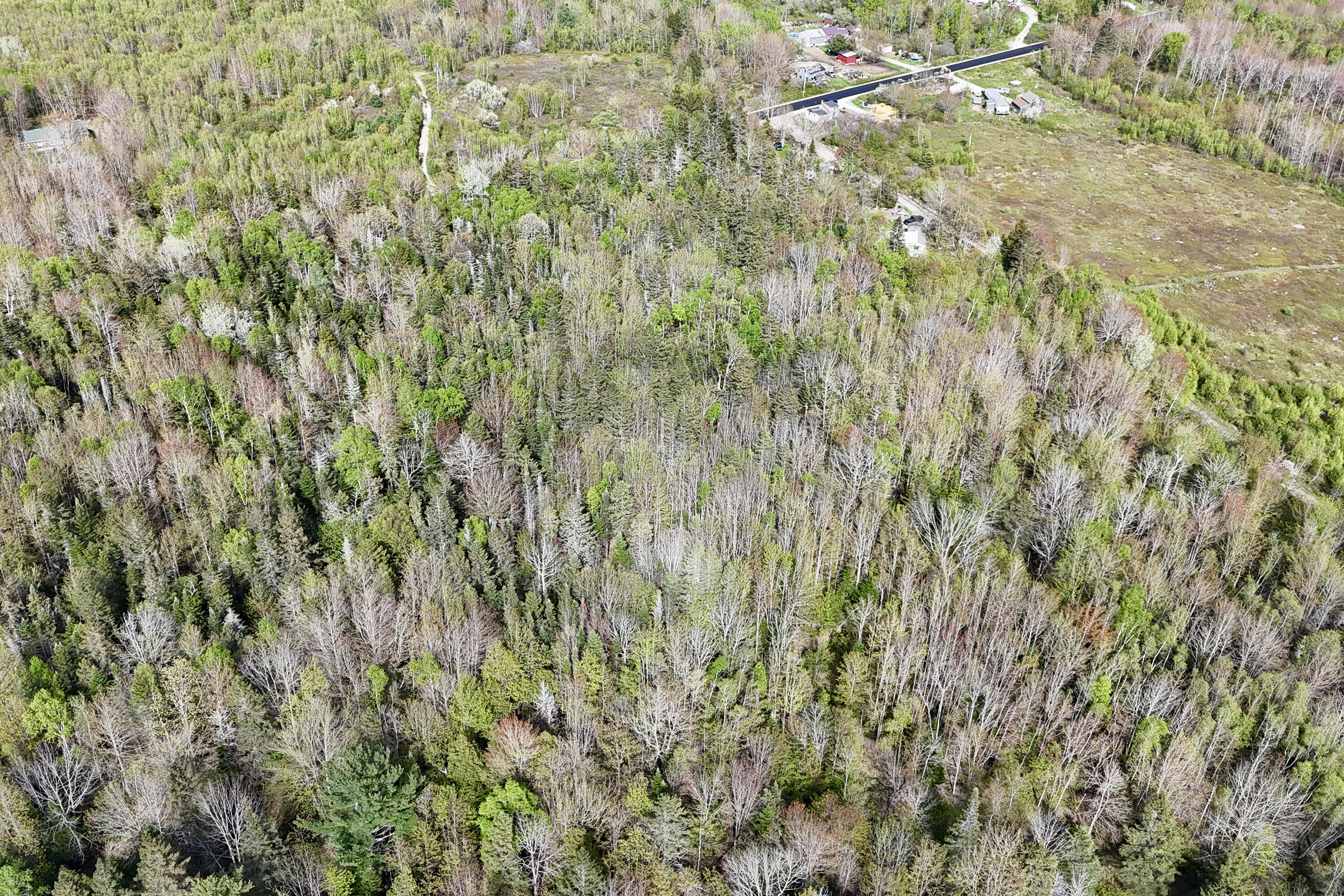0 Sedgwick Ridge Road Sedgwick, ME 04676 - Photo 17 of 18 Photo May 21 2025, 4 16 25 PM