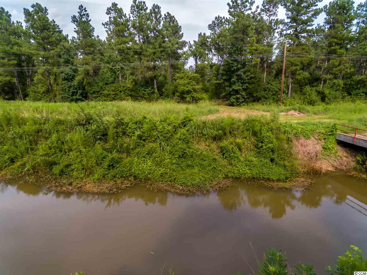 100 Ip Canal Road Hemingway, SC 29554 - Photo 3 of 8