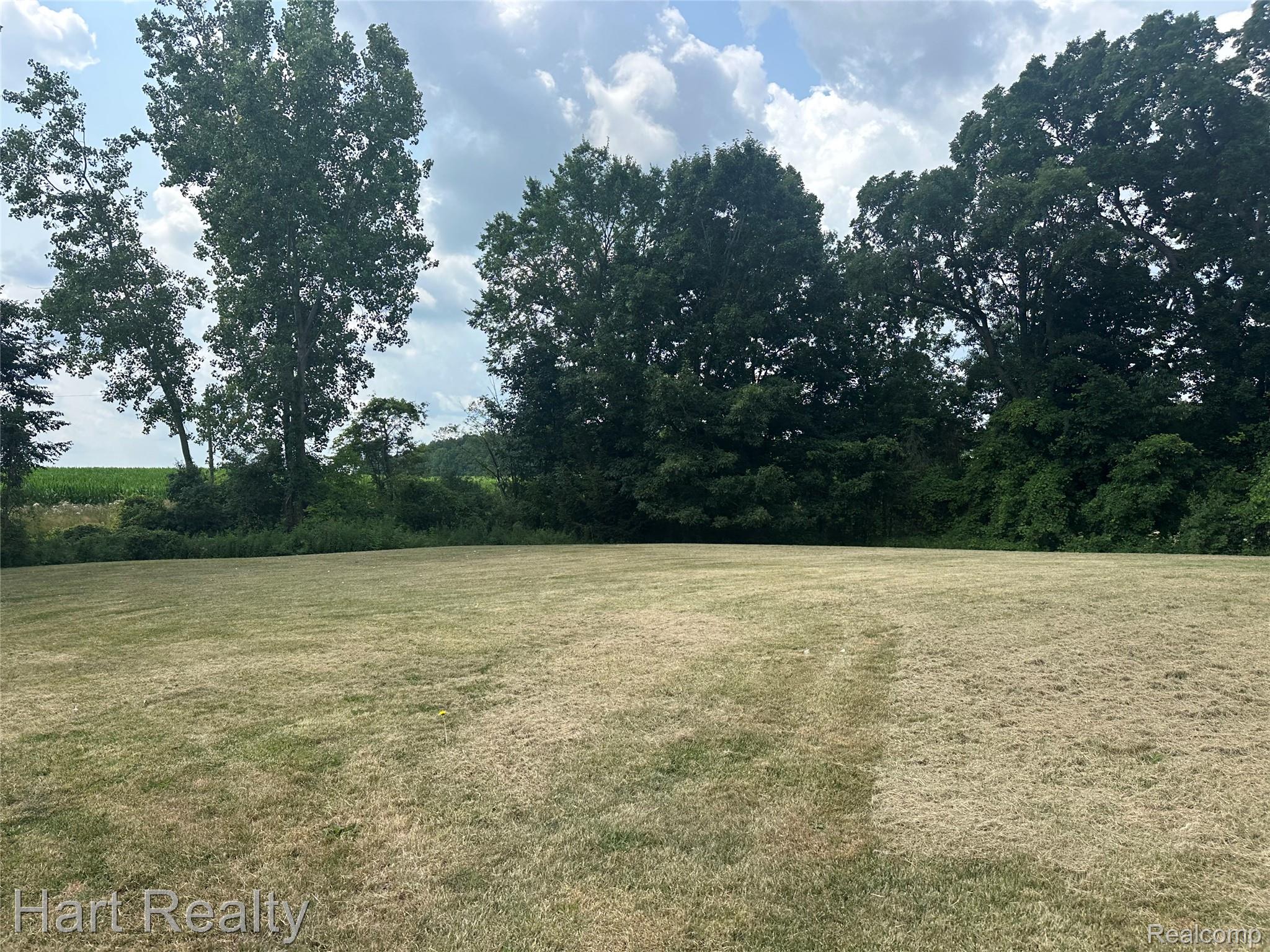 Expansive grassy area with a backdrop of mature trees and distant foliage