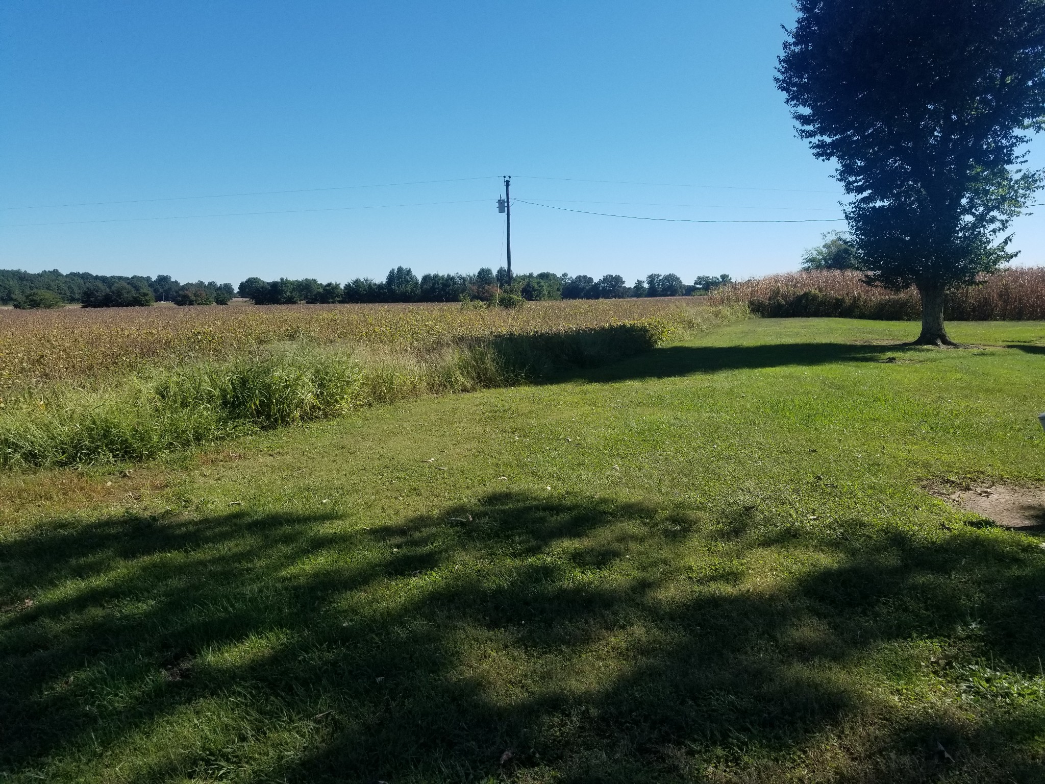0 R R Jones Road Manchester, TN 37355 - Photo 1 of 2 a view of a lake from a yard