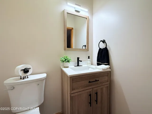 a bathroom with a sink vanity and toilet