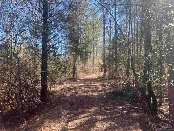 $225,000 | 5 Robinsonville Road, Atmore, AL 36502