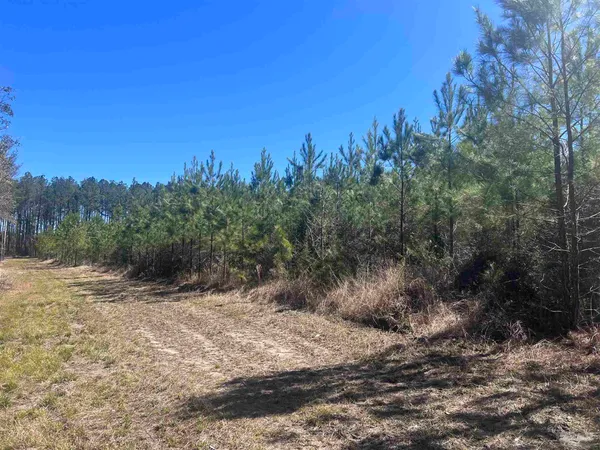 $225,000 | 5 Robinsonville Road, Atmore, AL 36502