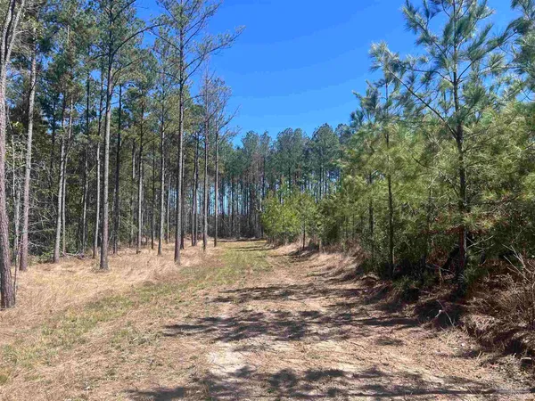 $225,000 | 5 Robinsonville Road, Atmore, AL 36502