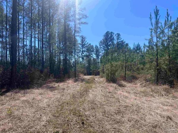 $225,000 | 5 Robinsonville Road, Atmore, AL 36502