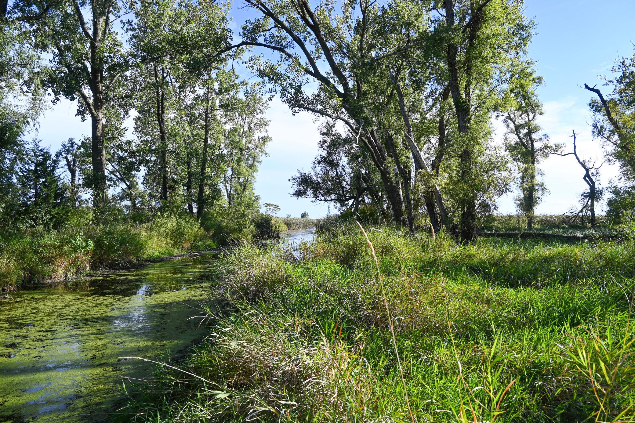 0 State Highway Nicollet, MN 56074 - Photo 11 of 37 Gallery Image 11