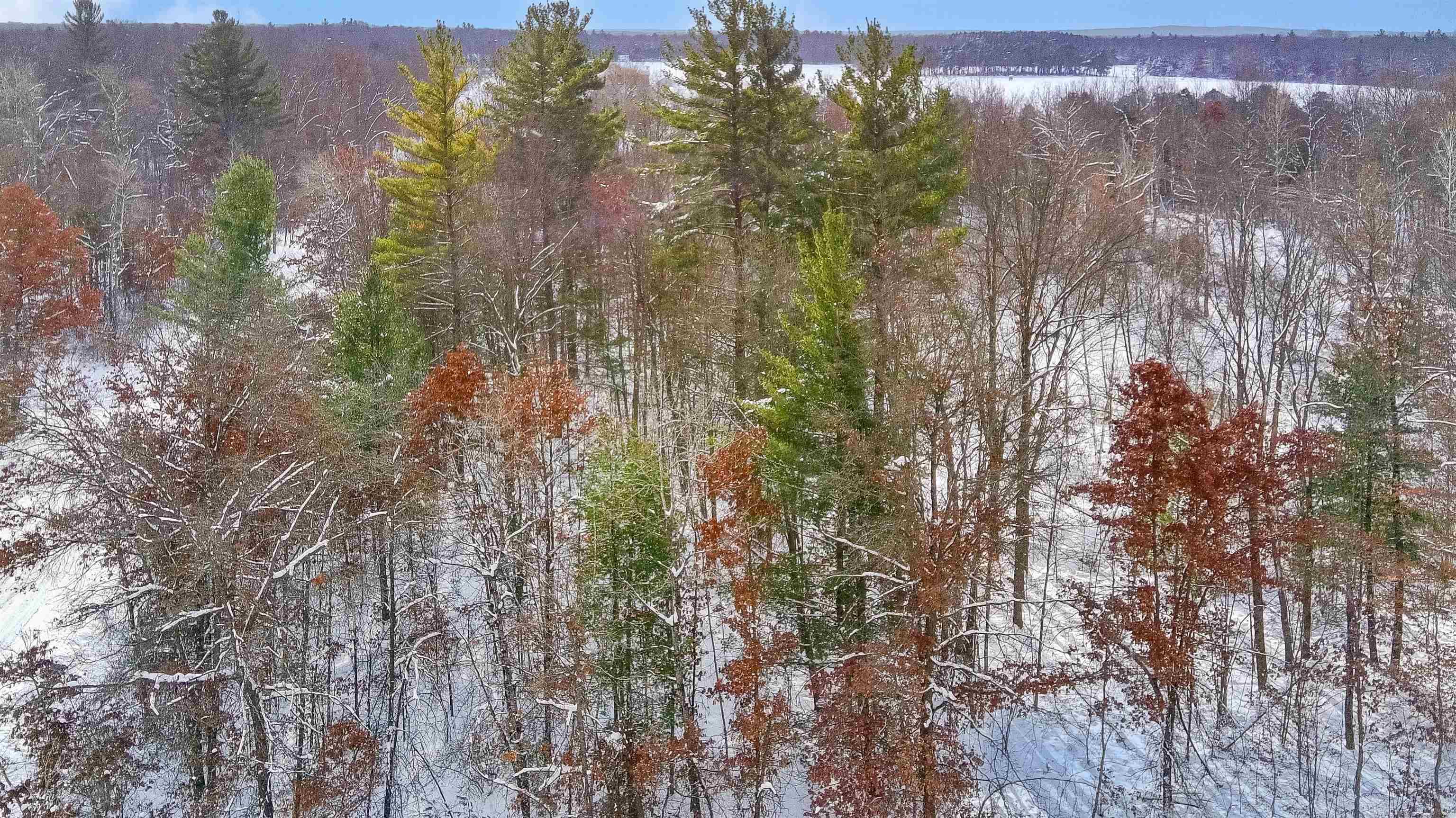 0 North Dagget Road Howard City, MI 49329 - Photo 16 of 25