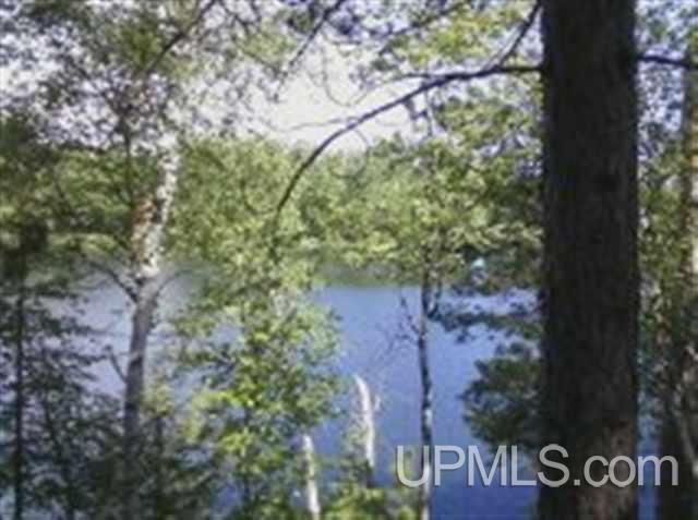 Tbd Tbd Mackenzie Bay Offdrd Road Big Bay, MI 49808 - Photo 3 of 7