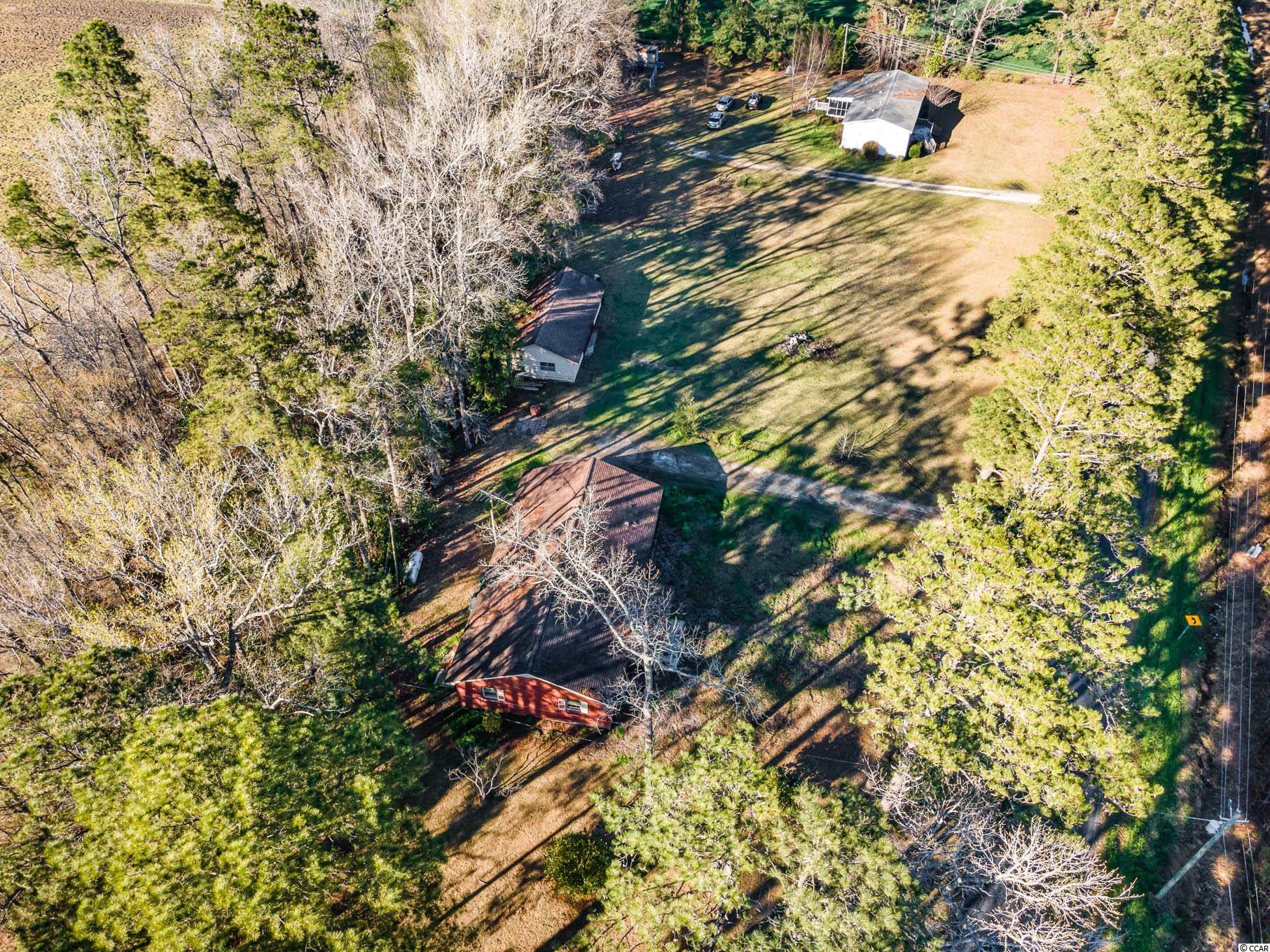 1425 Mt Olive Church Road Nichols, SC 29581 - Photo 26 of 38 Gallery Image 26