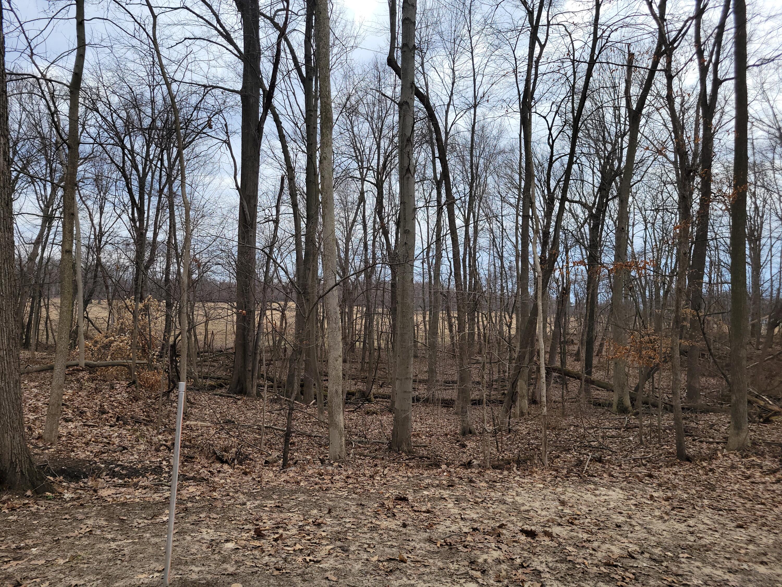 35176 Mill Lake Road Gobles, MI 49055 - Photo 28 of 30 20260315_151023