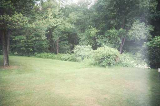 1126 New Castle Road Prospect, PA 16052 - Photo 7 of 7 Yard/Garden.