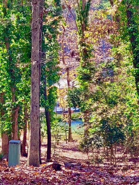 2133 Manawa Lane Fort Mill, SC 29708 - Photo 26 of 35 a backyard of a house with lots of green space