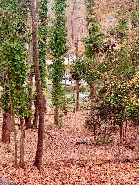 2133 Manawa Lane Fort Mill, SC 29708 - Photo 34 of 35 a view of a yard with plants and trees