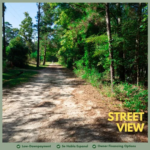 a view of a yard with plants