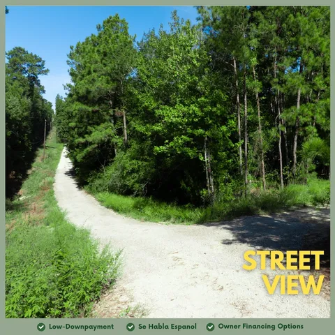 a view of a back yard of the house