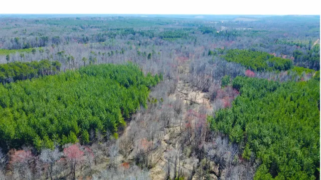 a view of a lush green forest with trees and some houses