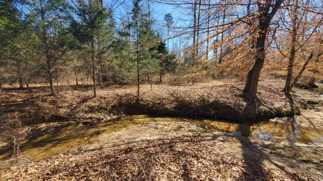 a view of a yard with trees