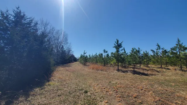 a backyard of a house with outdoor seating