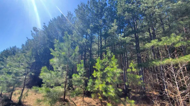 a backyard of a house with lots of green space and garden