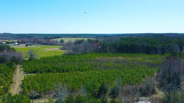 a view of an outdoor space and a yard
