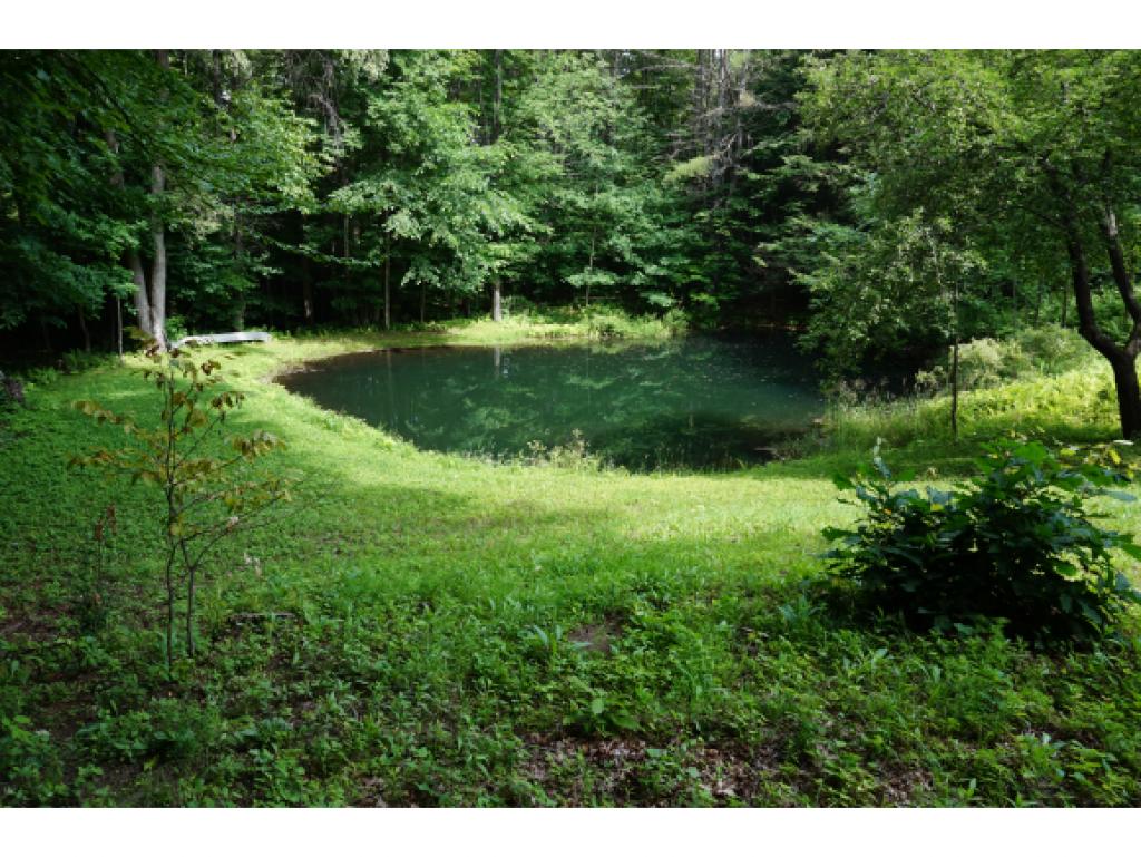 244 Brothers Road Hartland, VT 05048 - Photo 4 of 28