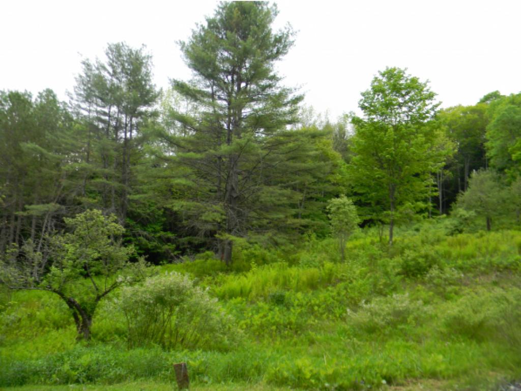 244 Brothers Road Hartland, VT 05048 - Photo 8 of 28