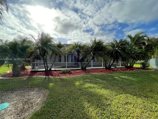 a view of a park with a large tree