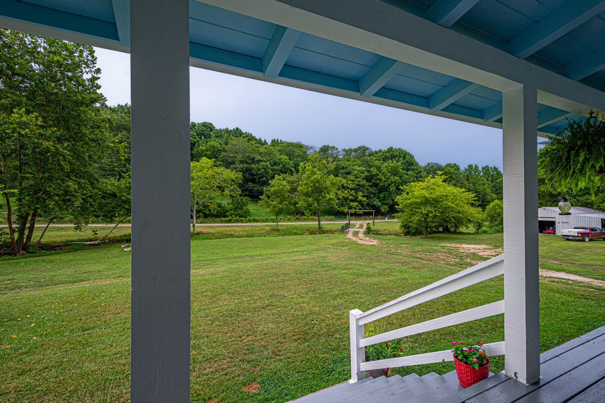 860 Loyd Road Pulaski, TN 38478 - Photo 43 of 70 a view of a room with a big yard potted plants and large tree