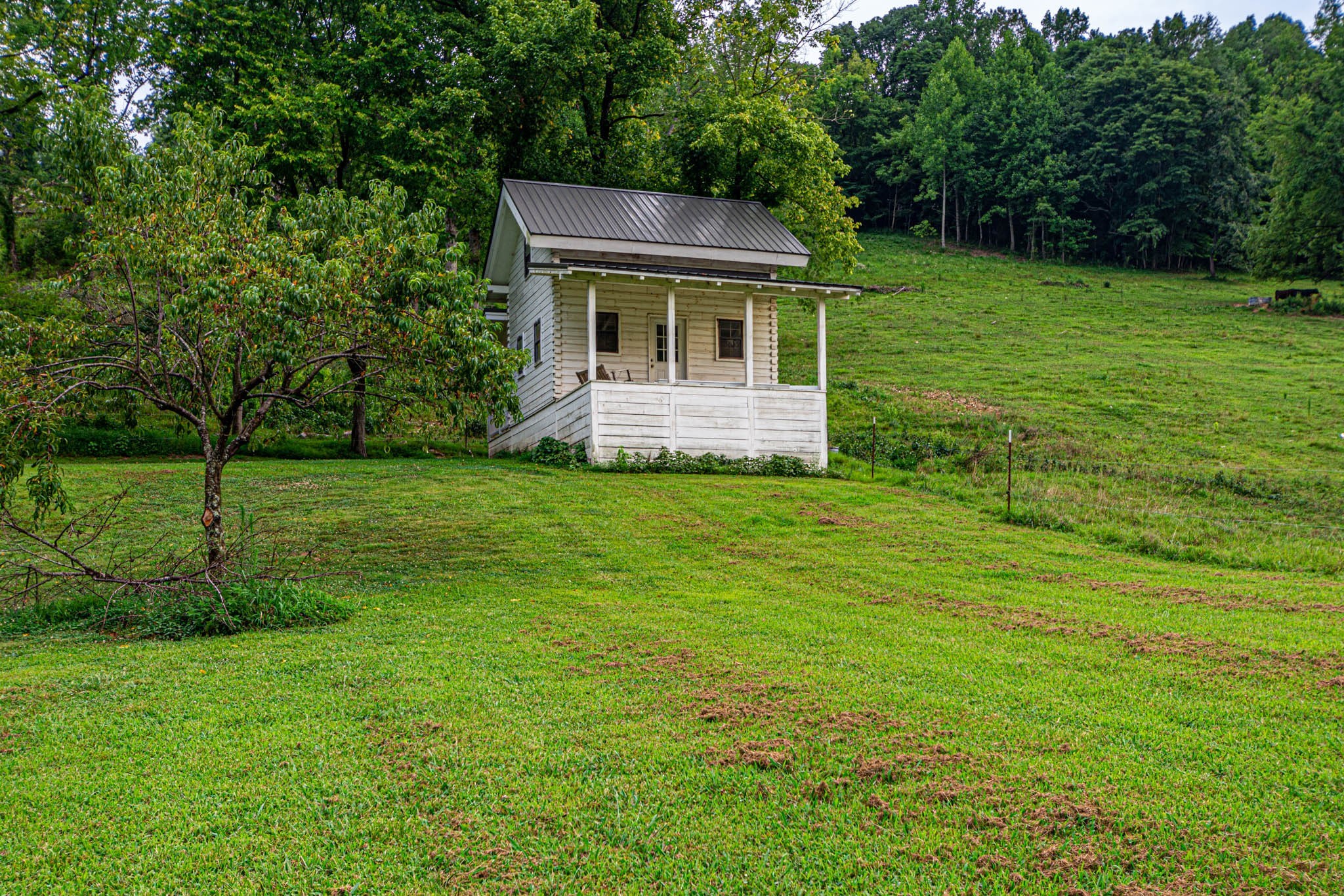 860 Loyd Road Pulaski, TN 38478 - Photo 53 of 70 a front view of a house with yard and green space