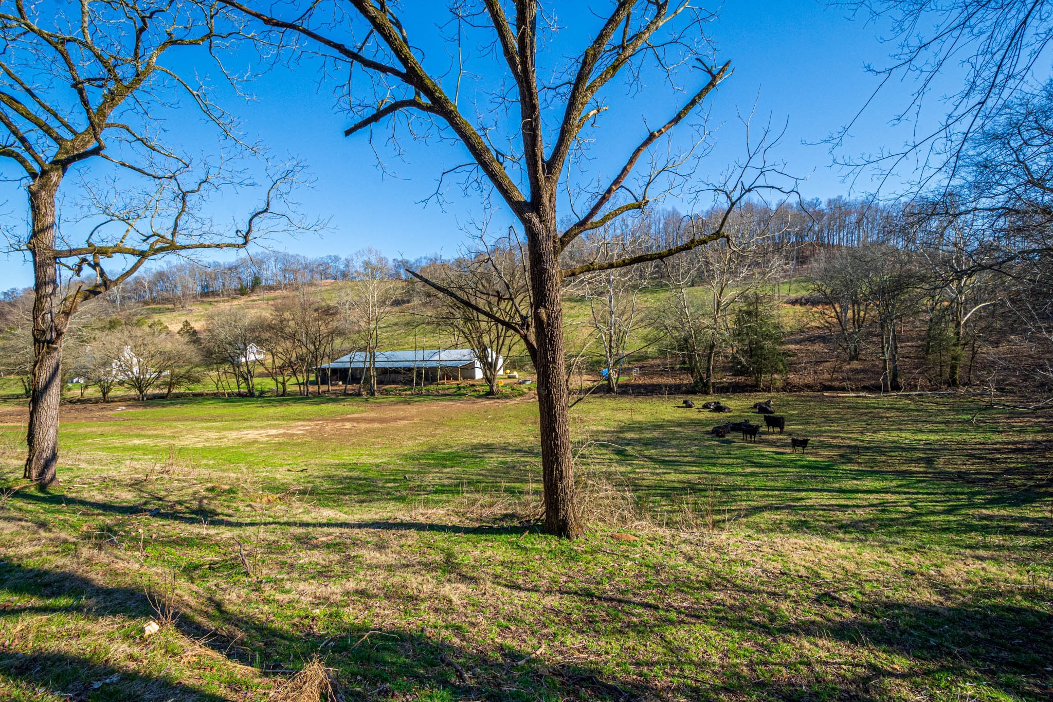 860 Loyd Road Pulaski, TN 38478 - Photo 65 of 70 a view of a yard with an outdoor space
