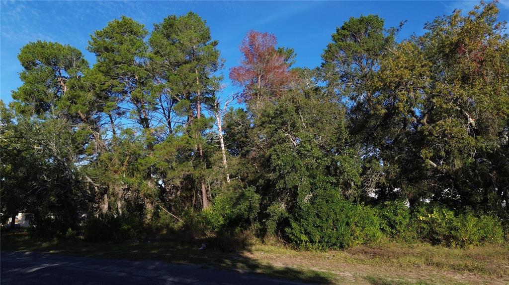 7939 Rhanbuoy Road Spring Hill, FL 34606 - Photo 2 of 10