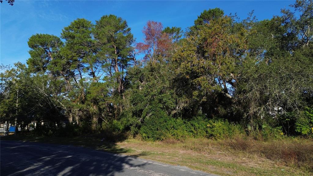 7939 Rhanbuoy Road Spring Hill, FL 34606 - Photo 3 of 10 a view of a yard