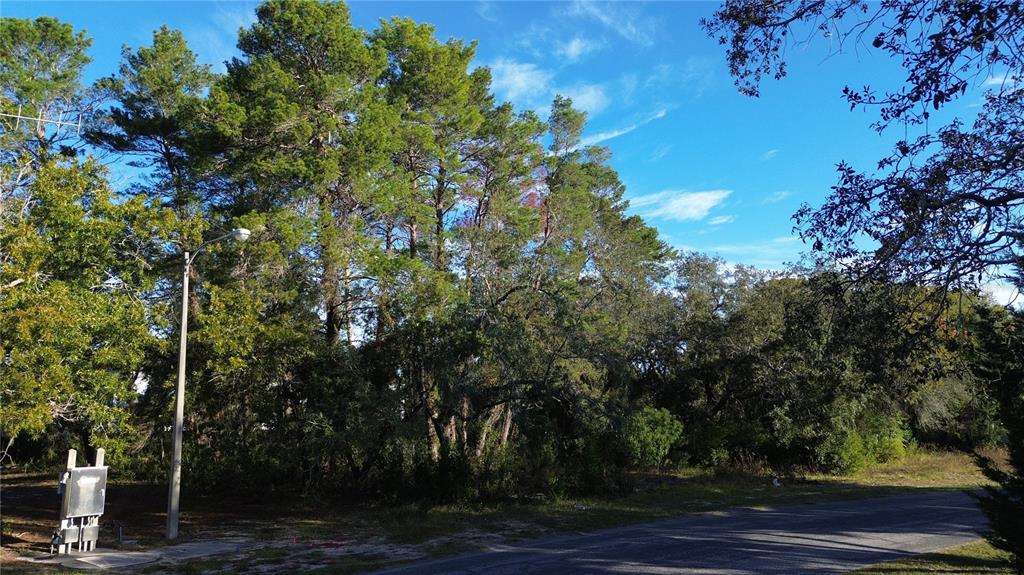 7939 Rhanbuoy Road Spring Hill, FL 34606 - Photo 5 of 10 a view of a yard with plants and trees