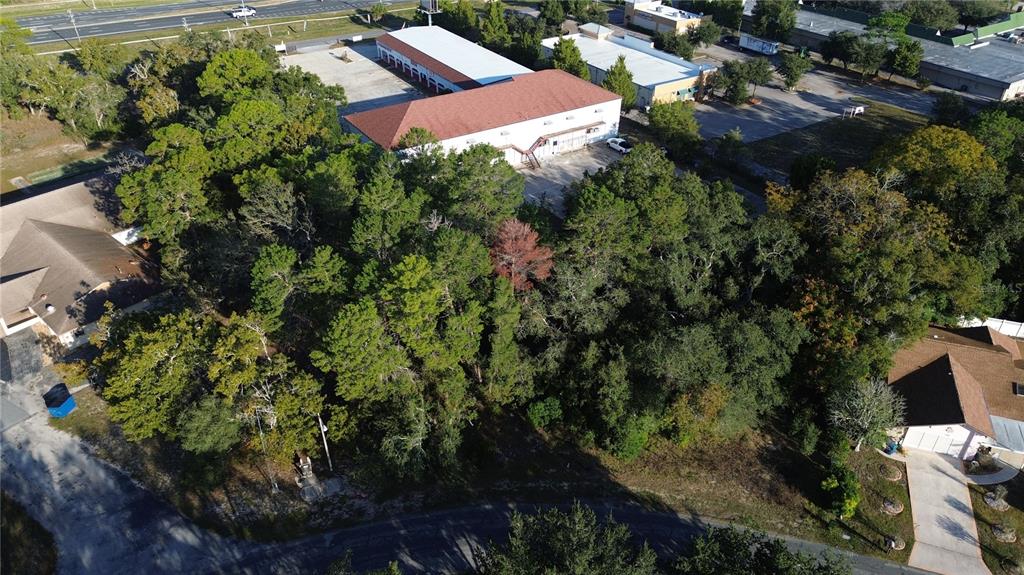 7939 Rhanbuoy Road Spring Hill, FL 34606 - Photo 6 of 10