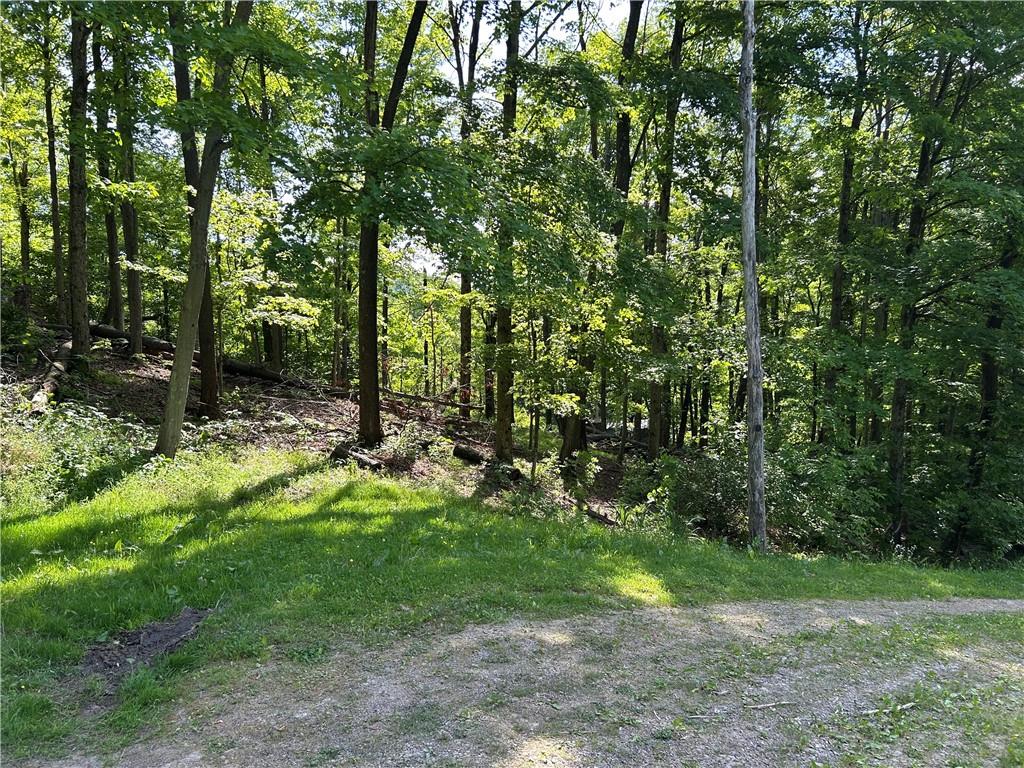 170 Clarks Hollow Rd Spring Vandergrift, PA 15690 - Photo 11 of 12