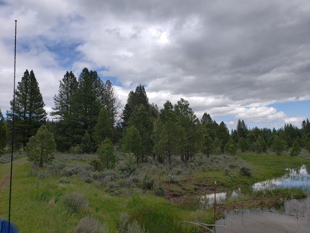 0 24 Bamford Road Bly, OR 97622 - Photo 8 of 19 Additional Photo
