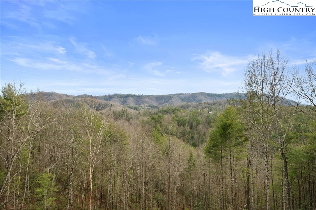 482 Bear Run Road Lenoir, NC 28645 - Photo 42 of 44 a view of a city with lush green forest