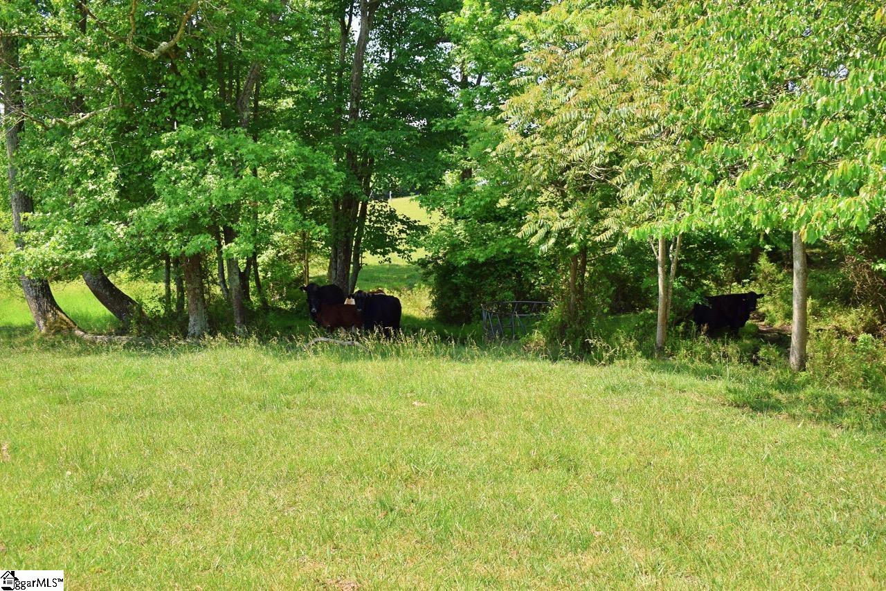 Orchard Lane Inman, SC 29349 - Photo 25 of 35