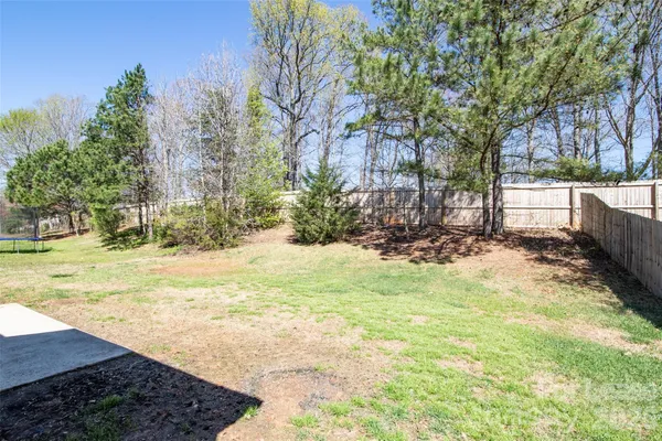 a view of yard with tree in the background