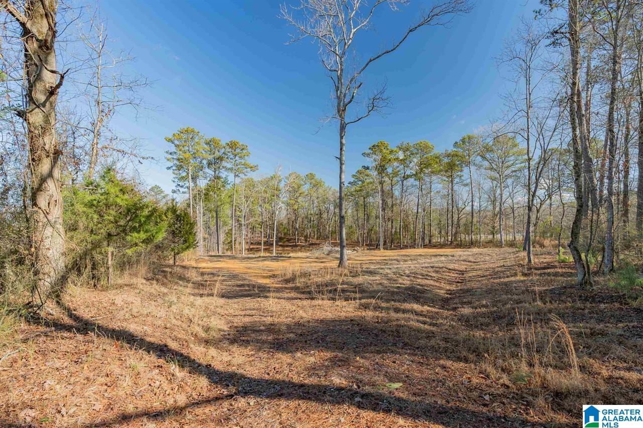 510 Cobb Road Oxford, AL 36203 - Photo 8 of 17