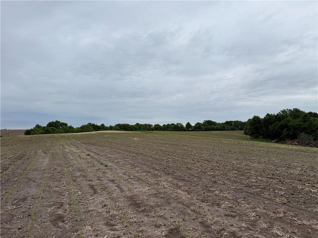 Cotton Road Purdin, MO 64674 - Photo 13 of 14